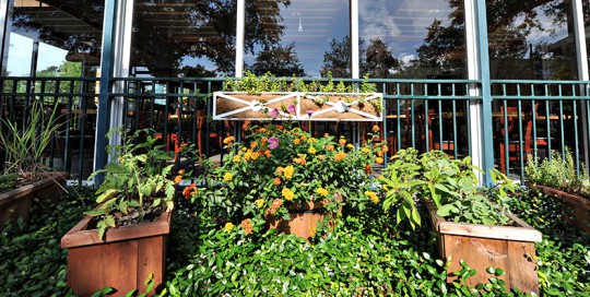 Cafe Alfresco Outdoor Garden